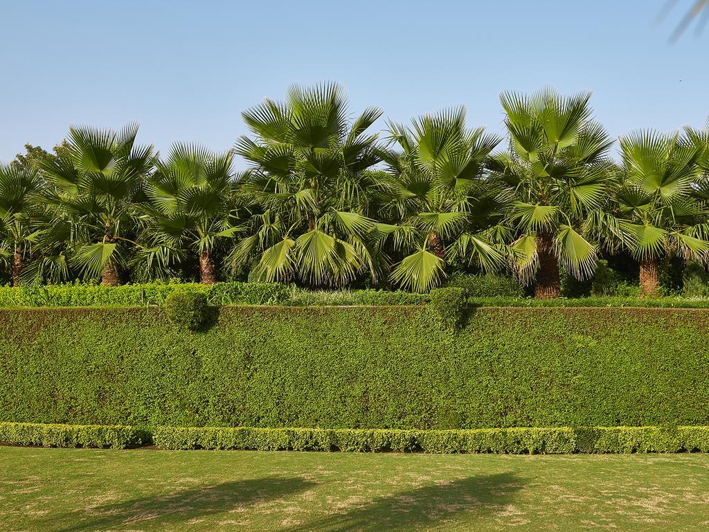 Club Mahindra Kandāghāt Bagian luar foto